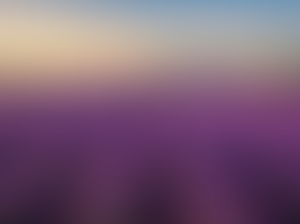 שדה לבנדר בבולגריה