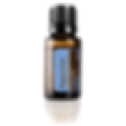 דייג'סטזן - תערובת שמנים אתריים לניקוי הגוף מבפנים