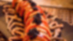 Caterpillar Roll