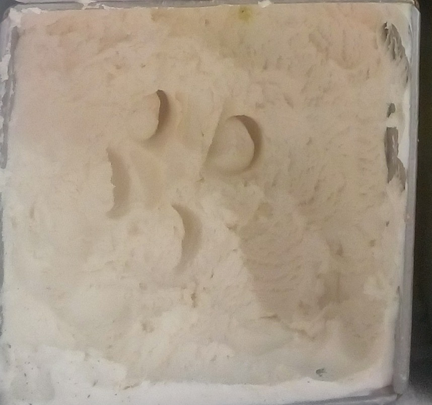 Helado de queso