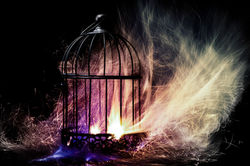 Soul Cage The Escape