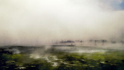 The Mist