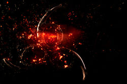 666 The Identity of Man