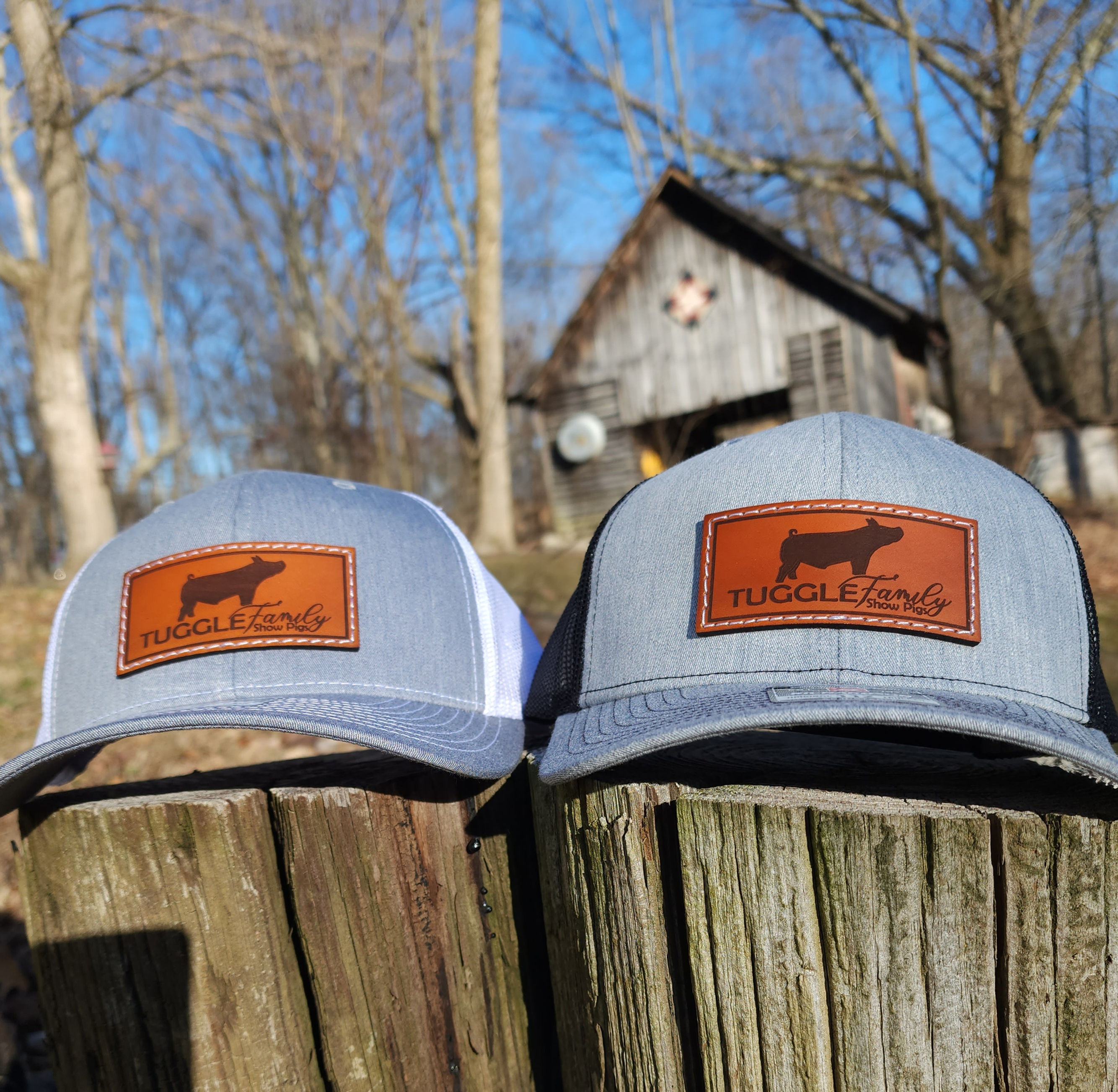 Family Show Livestock