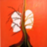 Polmoni Dell'Umanita