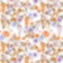 Untitled-1.webp