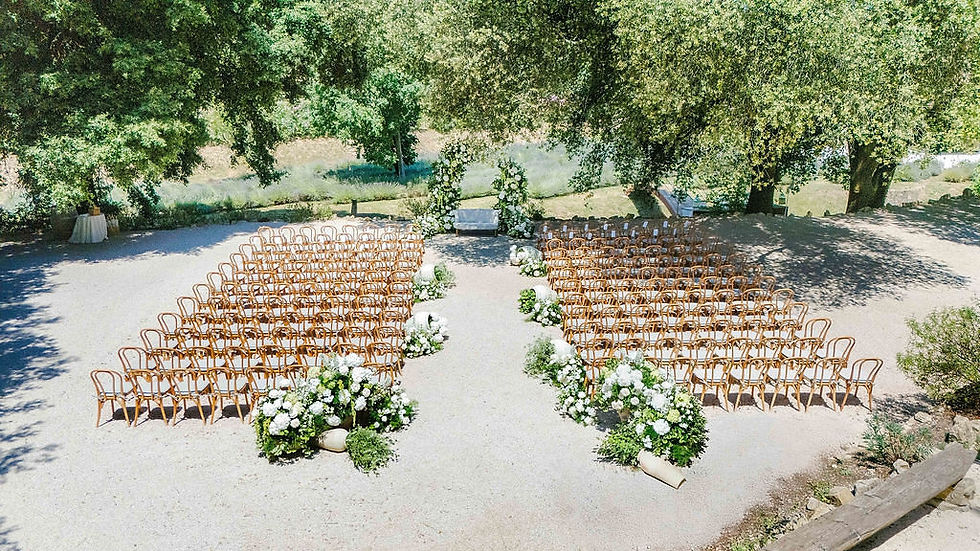Cérémonie de mariage en plein air dans une oliveraie provençale au Domaine de Valbonne