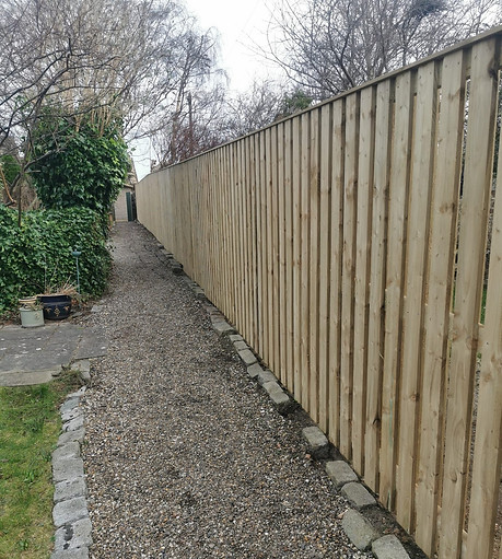 Fence 4.jpeg