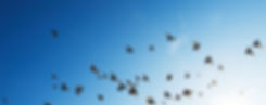 Magnétisme et Soins Energétiques Marie Prudhomme Antre Ciel Ether