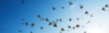 Psychologist Christopher Cooper MSc. Counselling Services Saskatoon