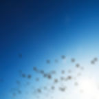 Life Coaching Insights