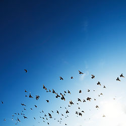 life purpose mindfulness counseling