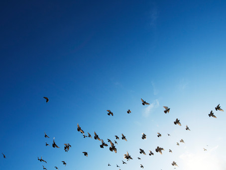 מה זה תקשור ועם מי מתקשרים ואיך להבחין בתקשור אמיתי