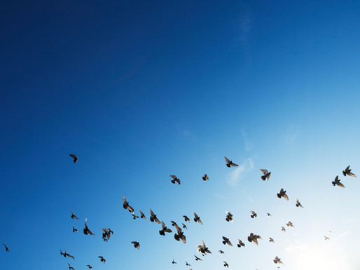 Finding Hope in the Great I AM