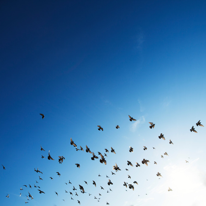 Healing with Mediumship