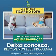 Pets sujando o sofá