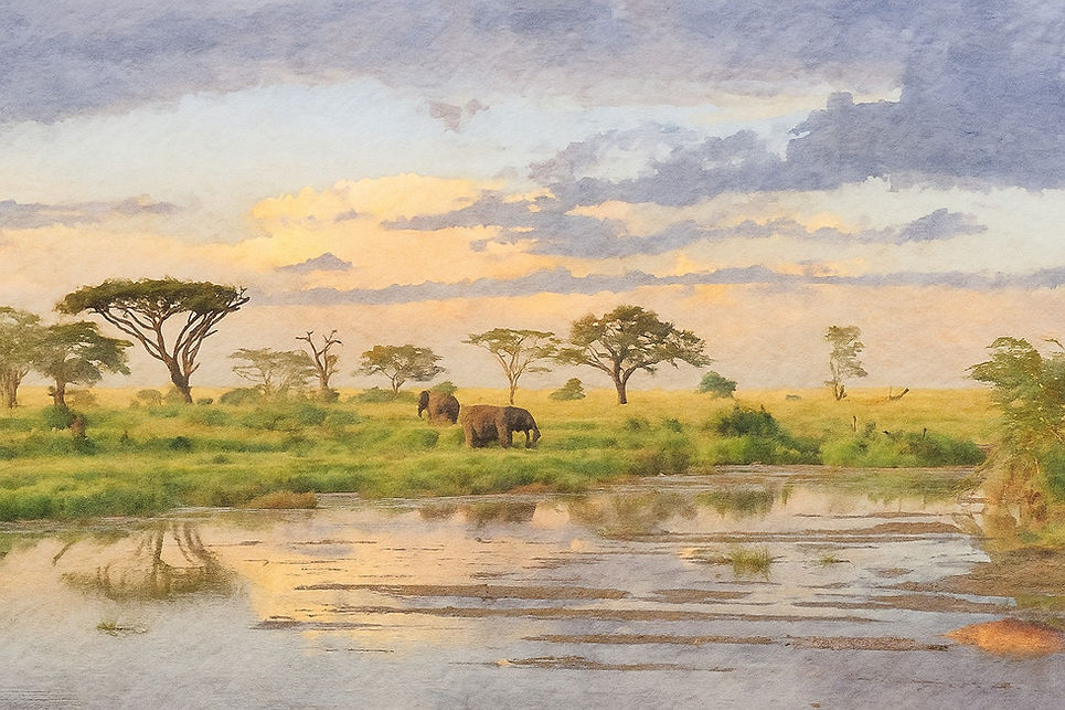 Ruaha landscape with elephants, watercolour, Oct 25.jpeg