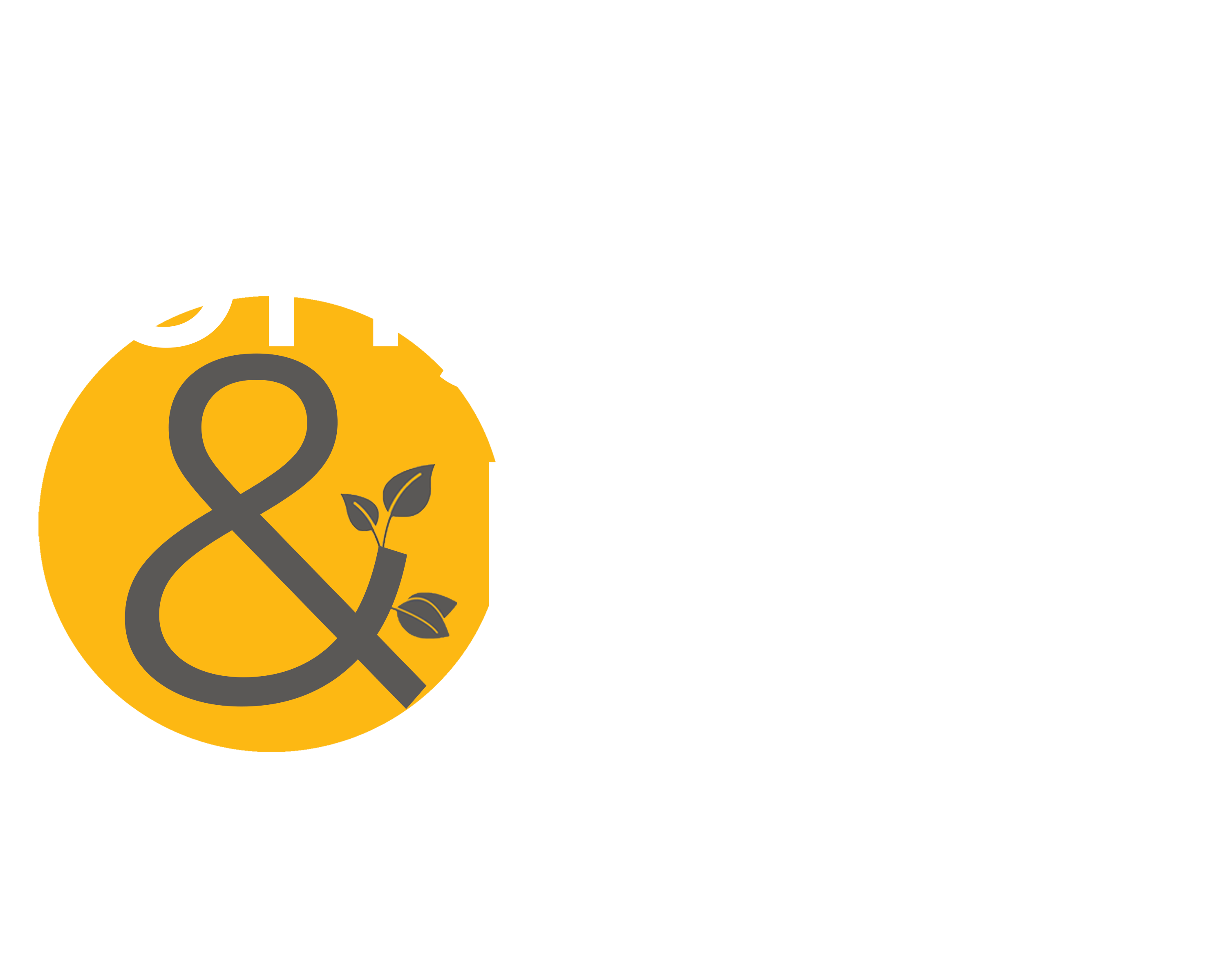 white_bright and brave logo_horzontal.png