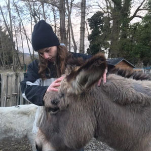 Ostéopathie Animale