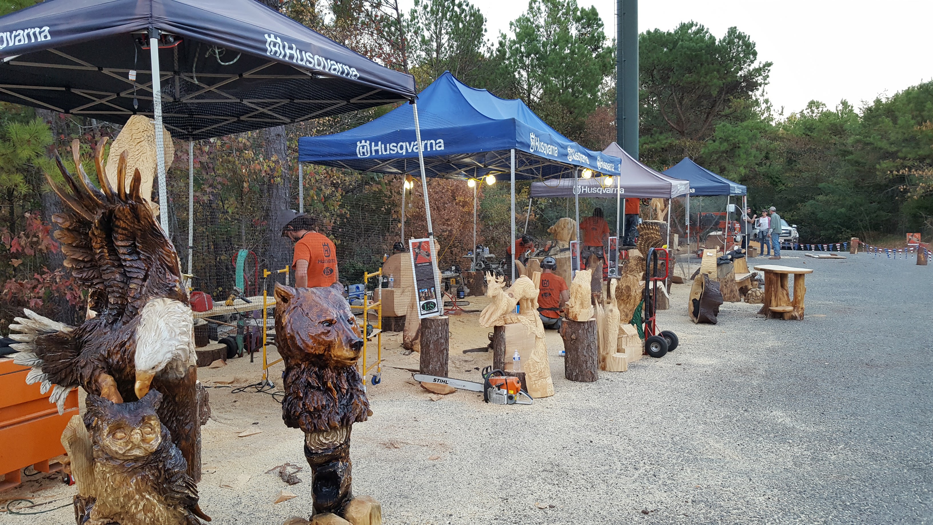 Chainsaw Carving United States Woodlot Artisans