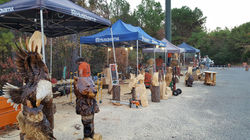 Chainsaw Carving Event!