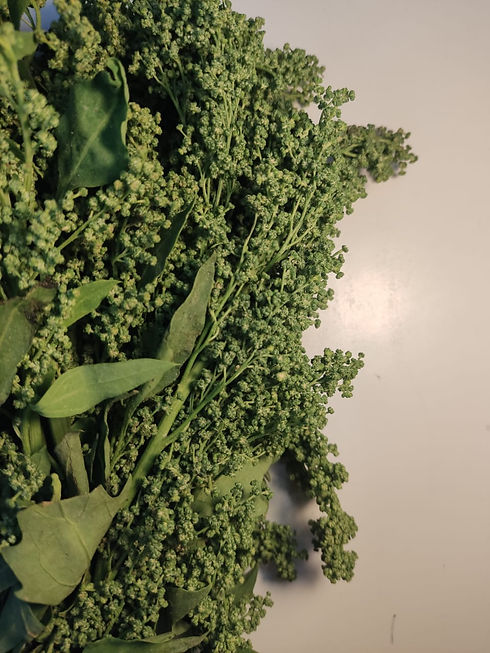 WhatsApp Image 2023-01-30 at 12.25.15 PM (2).jpeg