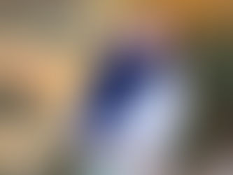 A Pond-side Reunion with Familiar Faces