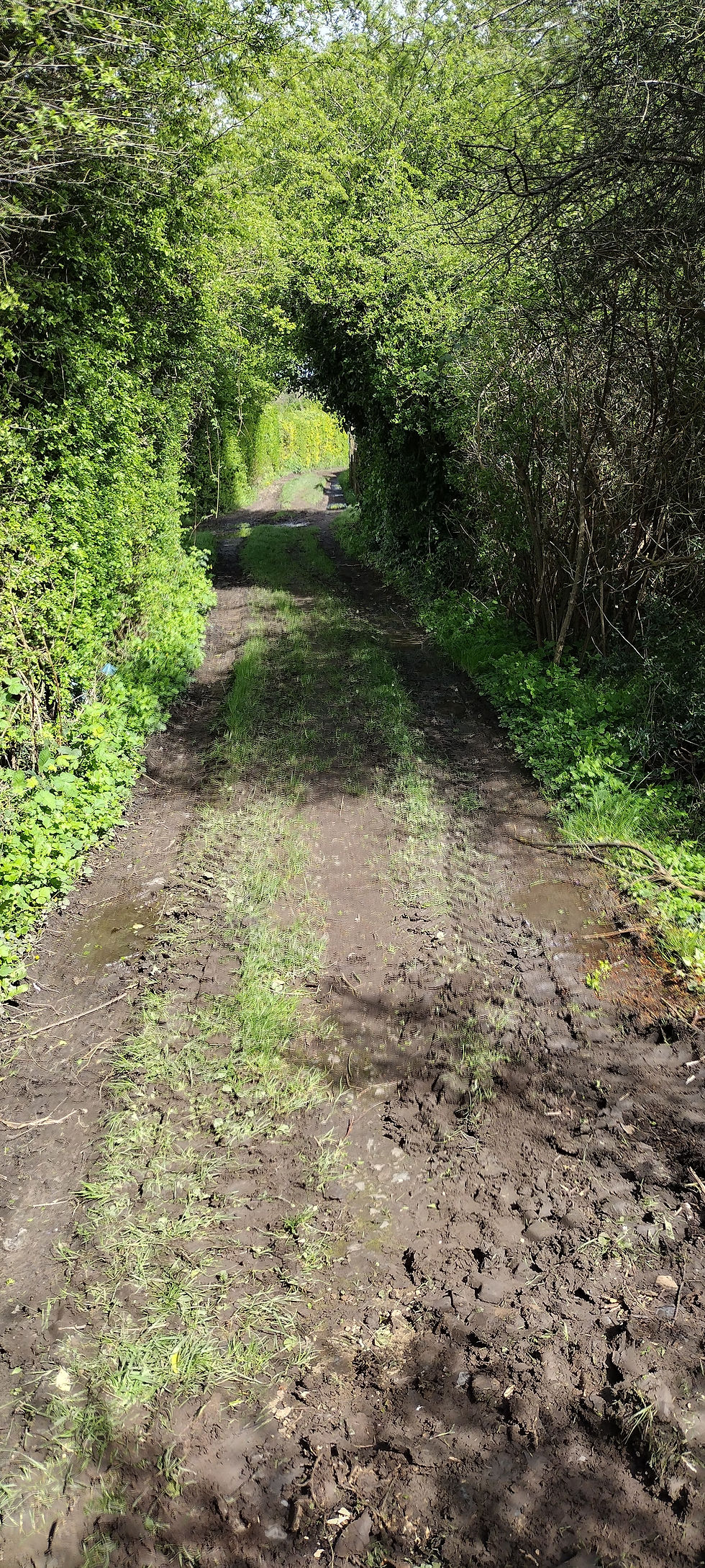 IMG_20240415_120542342_HDR