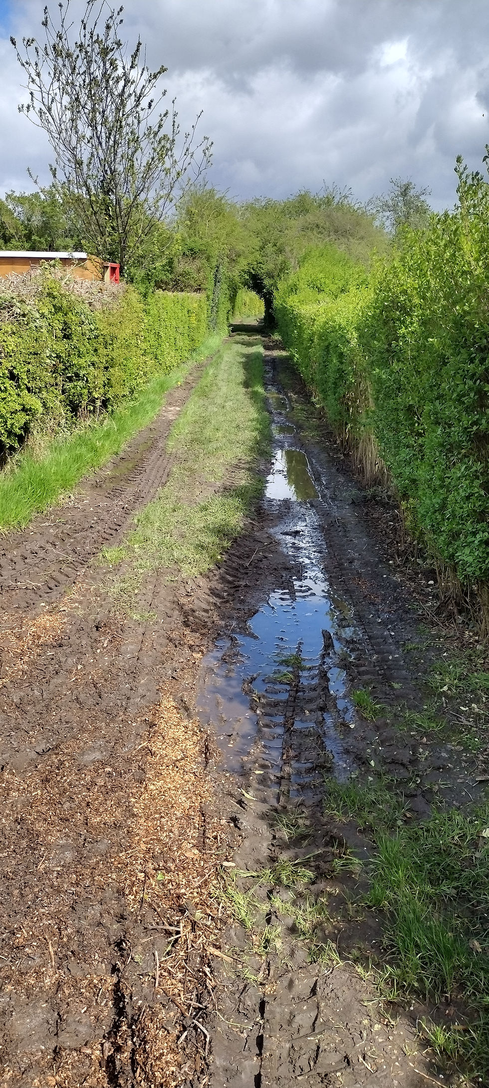 IMG_20240415_120450523_HDR