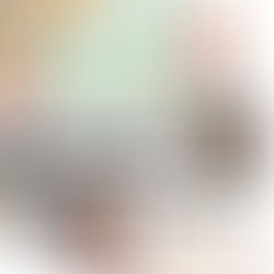 ORC Spring 2021: Sunroom Transformation/ Week One