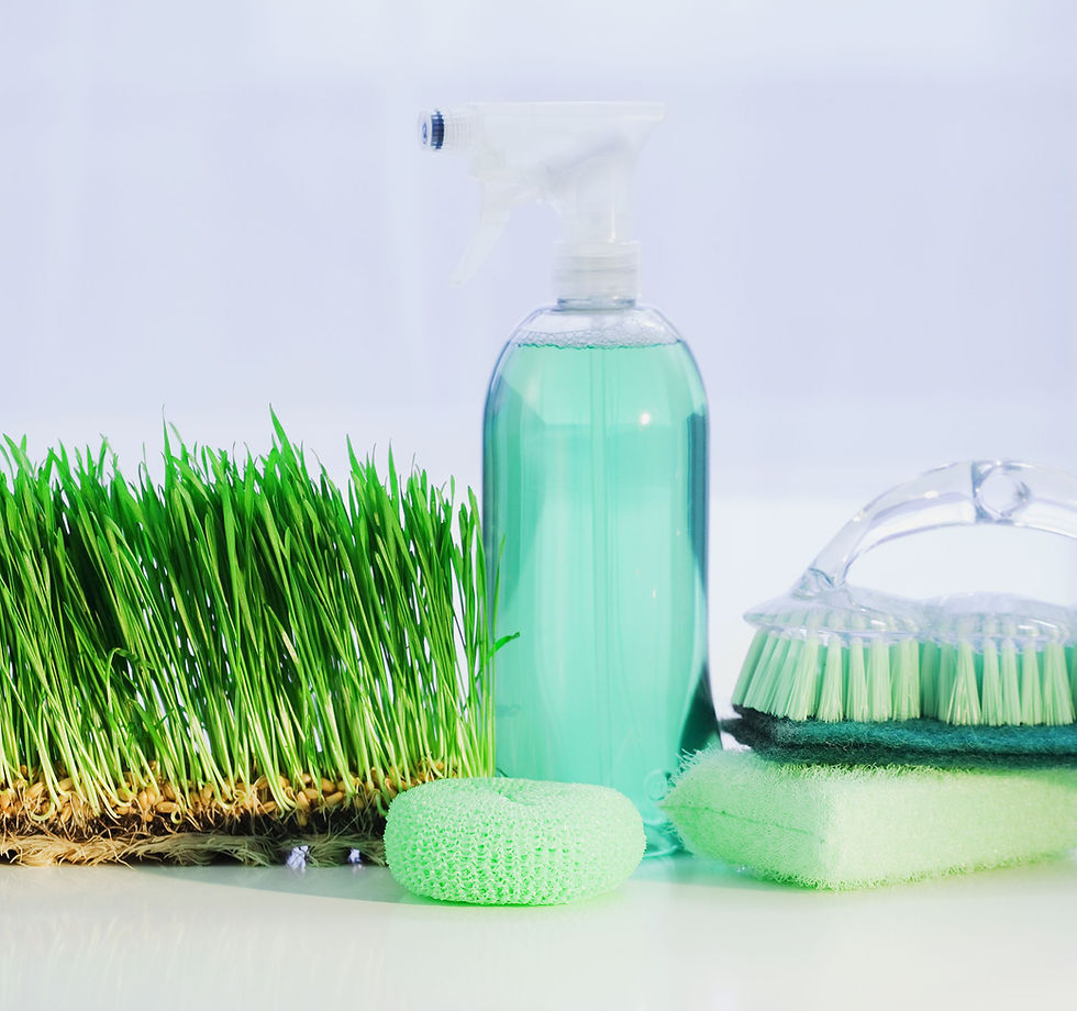 Why Organic Cleaning Products Matter