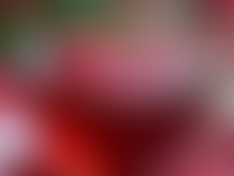 Rose Hibiscus Signature Tea