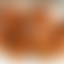 Salted Caramel Pretzel Turtles