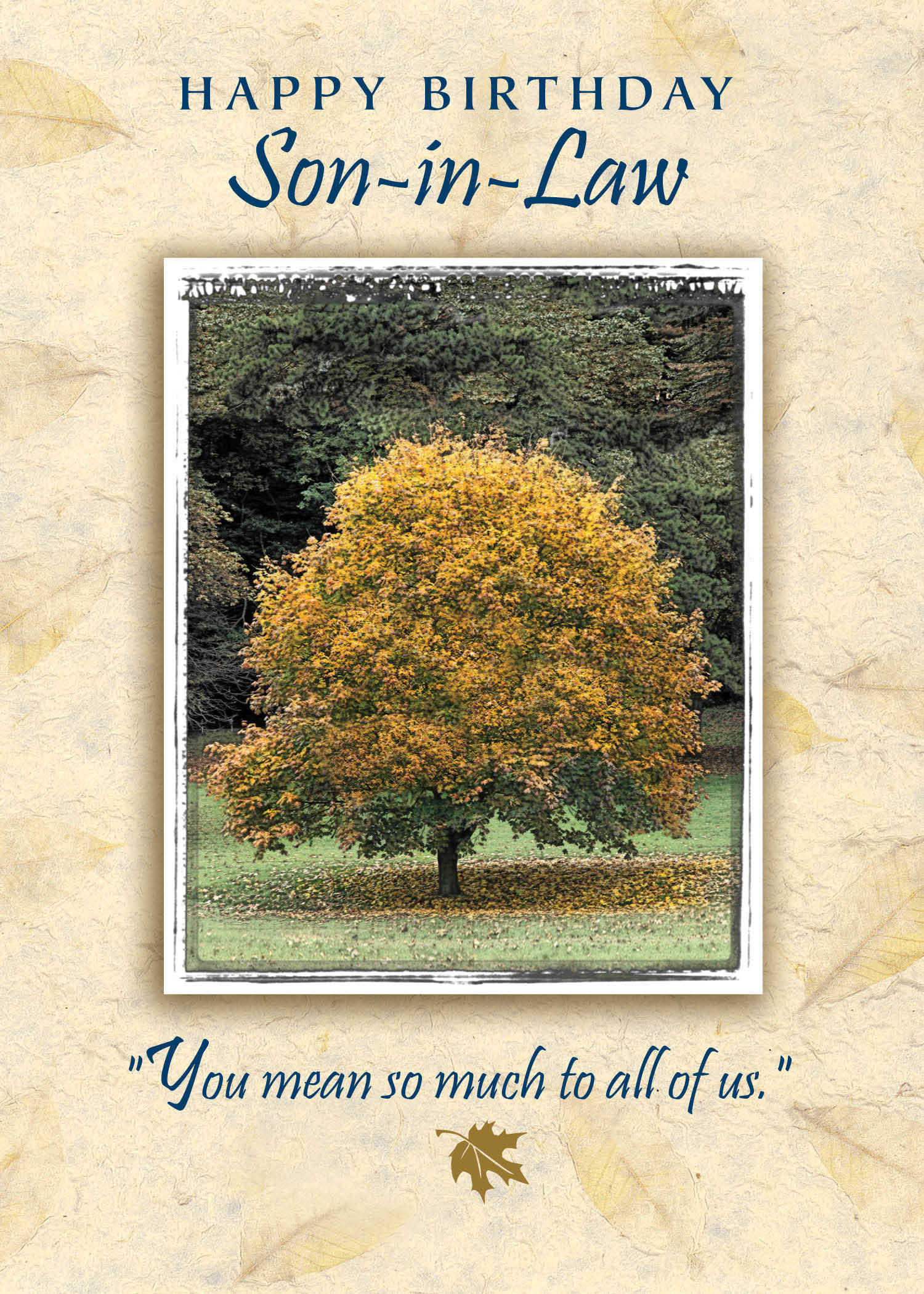 FR0230 Family Birthday Card / Son-In-Law