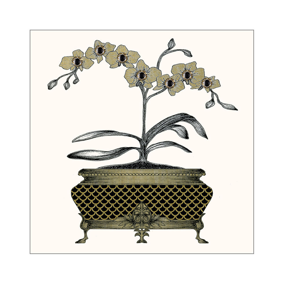 Thumbnail: GGE191 - Ornate Orchid