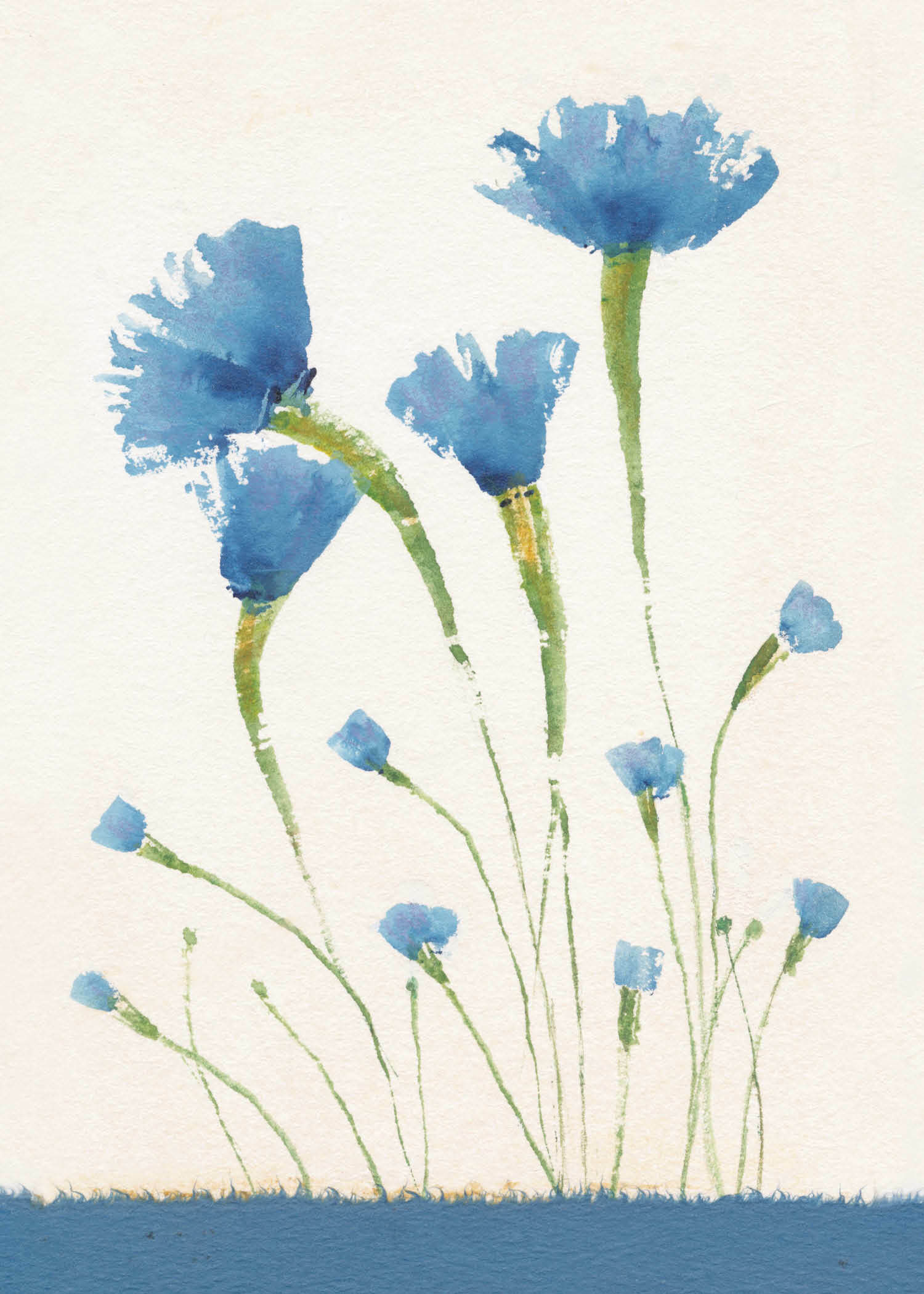 BLCard071   Blank General Card