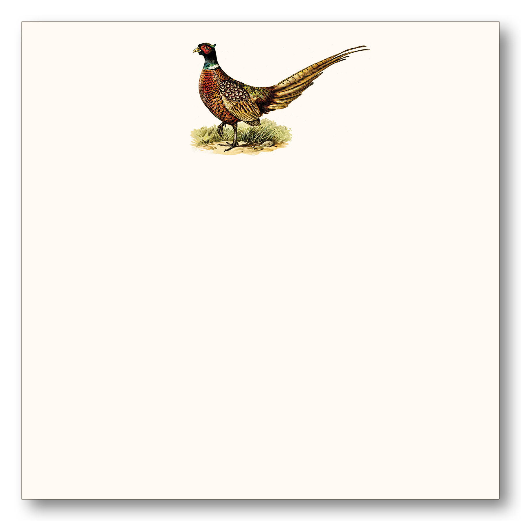 Pheasant Note Block