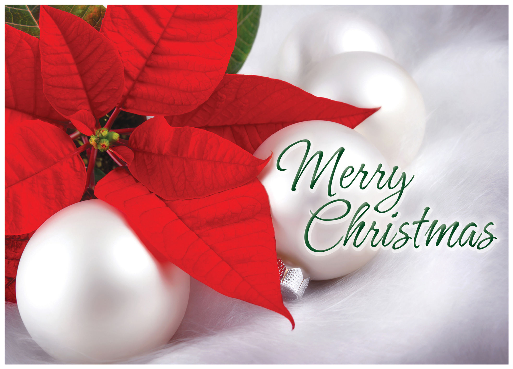 FRS 552 / 5161 Christmas Card