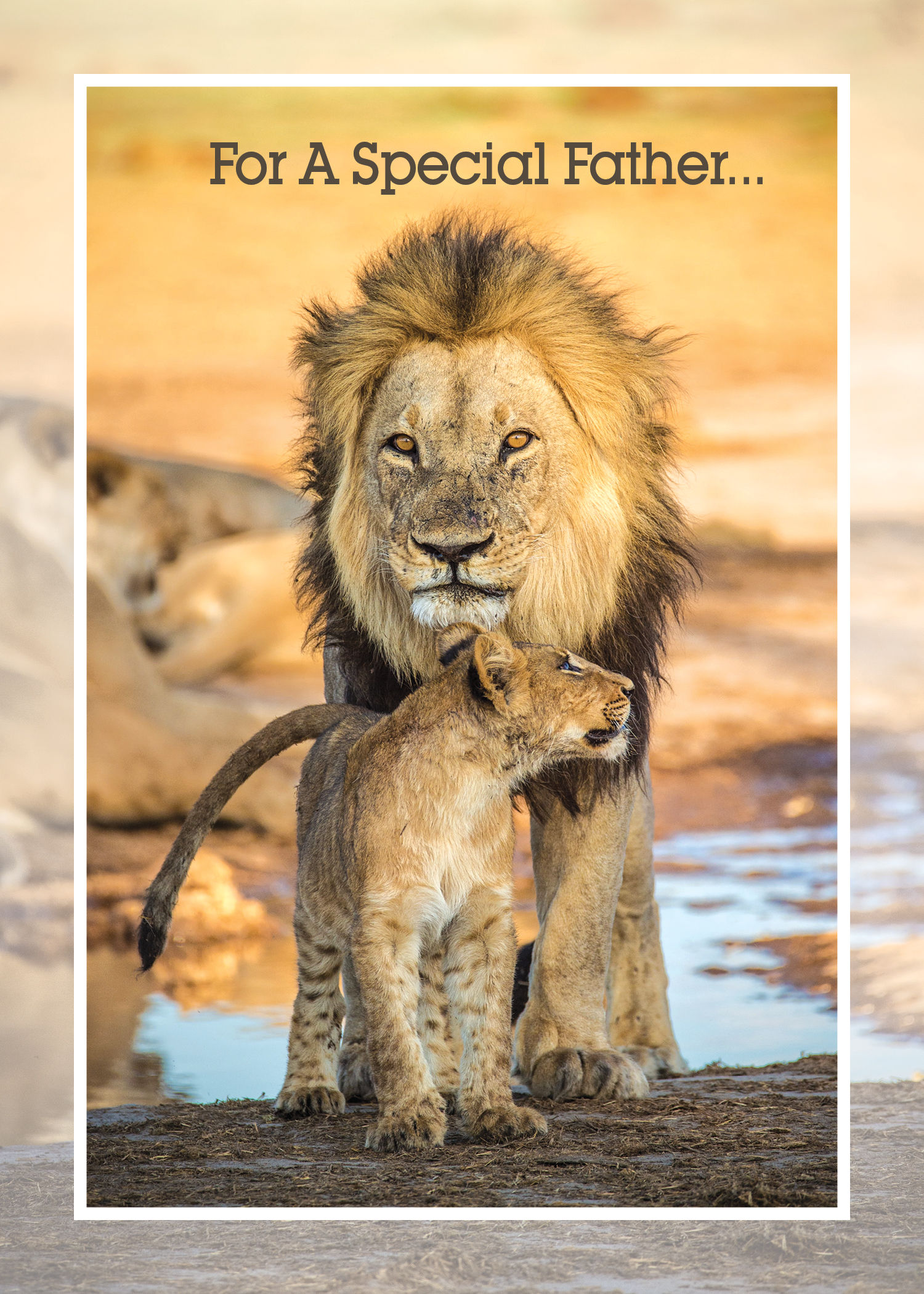 FRS6237 Father's Day Card