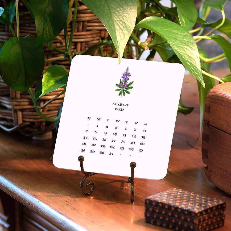 Thumbnail: 2027 Texas Desk Calendar