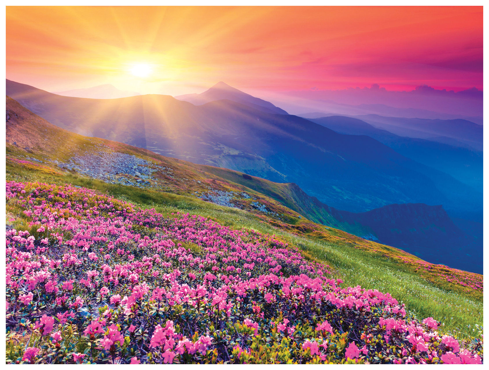 FRNB4131 Boxed Note Card