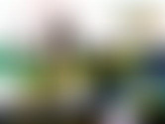 🎰Mega888 Game 🪷Lotus Legend 🪷 Free Game Jatuh Kaw-Kaw‼️Cuci RM1,000‼️Jangan Tunggu Lagi.