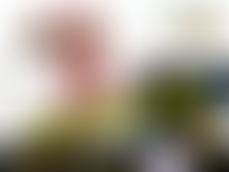 🚀Mega888 Game 🎰Conan🎰 Cuci RM2,000‼️Game Sedang Longgar, Cepat Cuba‼️