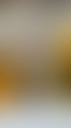 בחירת מפיץ הריח המושלם