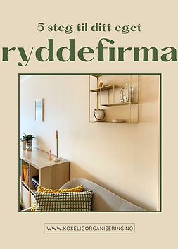 5 steg til ditt eget ryddefirma.jpg