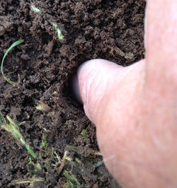 18Thumb sized hole