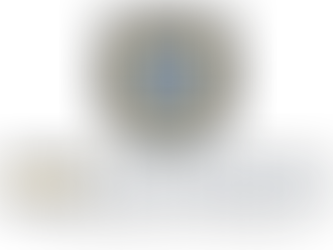 USA Engineers Logo with shield