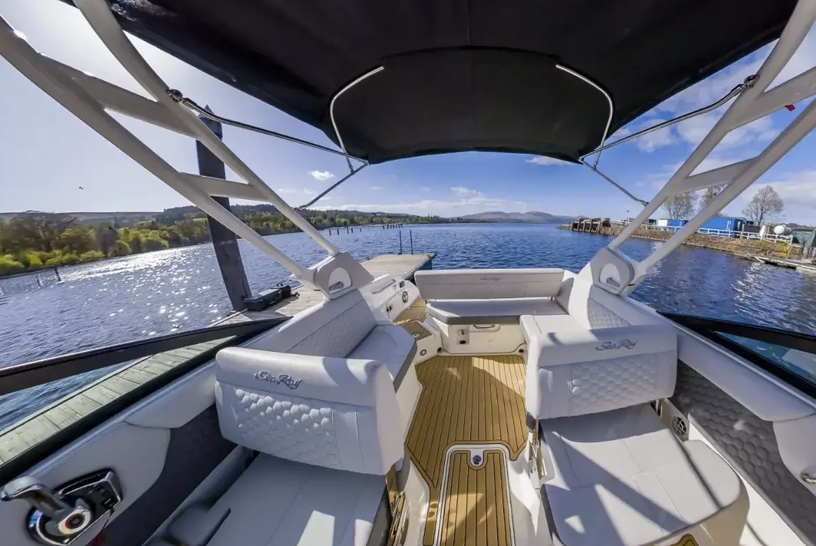 2024 Sea Ray SDX 250 image 3