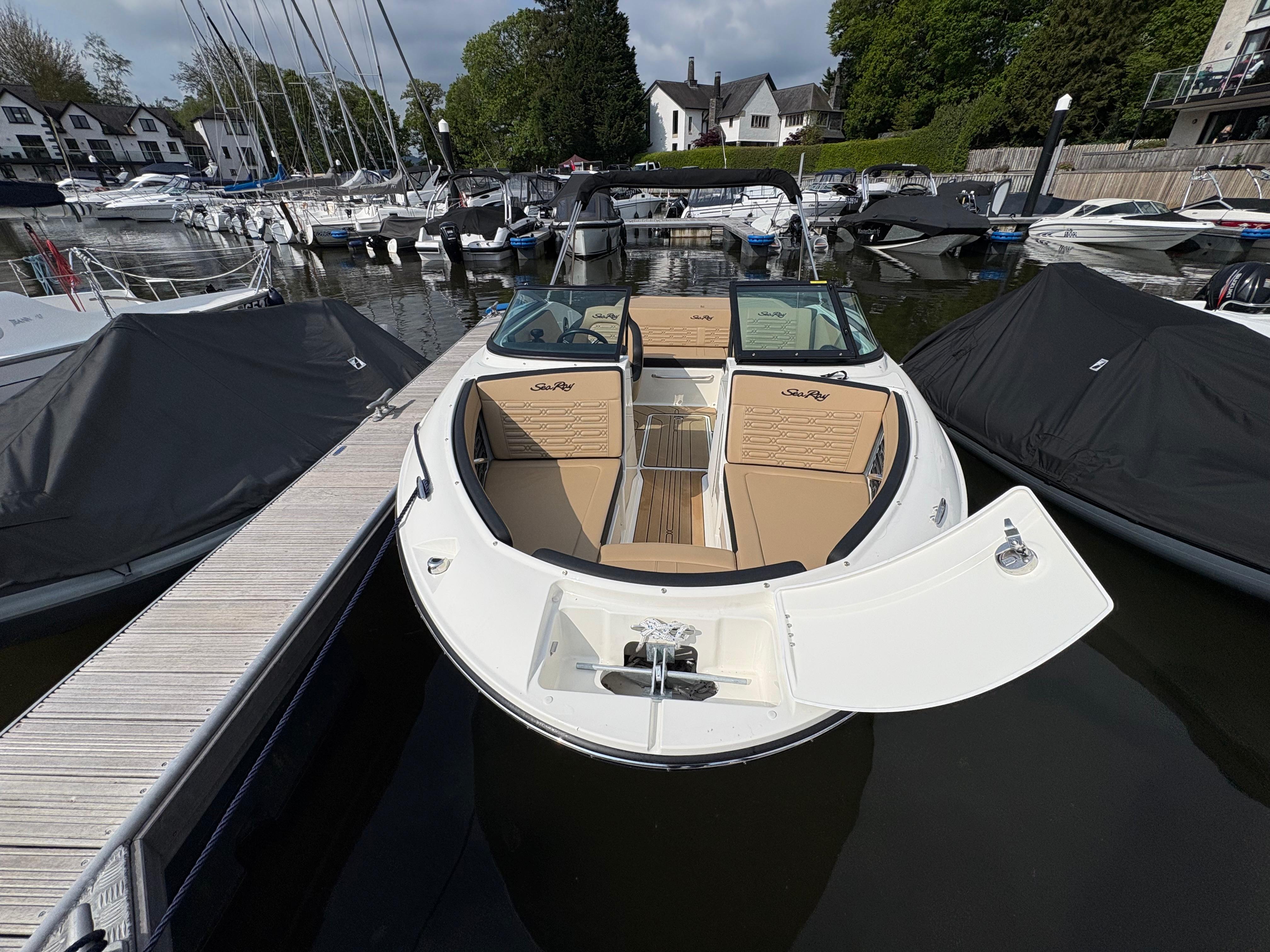 2024 Sea Ray SPX 190 image 3