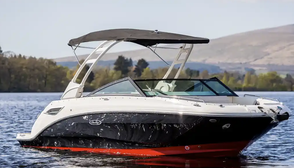 2024 Sea Ray SDX 250 image 5